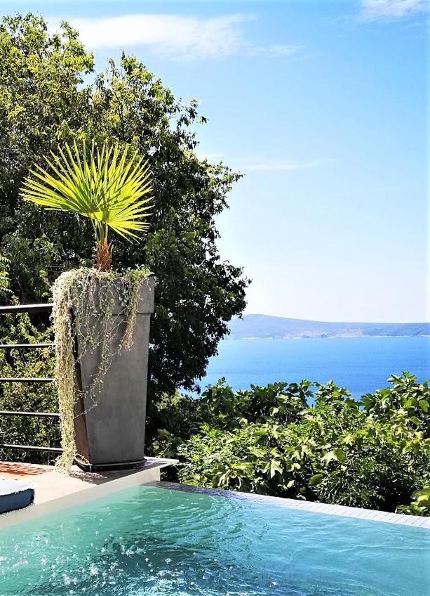 Art Gallery House With A Small Relaxing Pool Цриквениця Екстер'єр фото